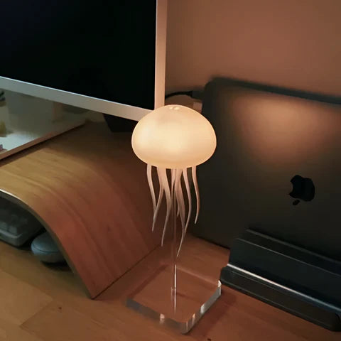 Jellyfish Lamp